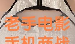 老手电影手机在线观看,手机在线观影，揭秘犯罪世界的暗流涌动