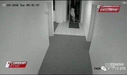 杨先生爆料电梯视频播放